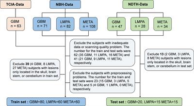 Differentiation of malignant brain tumor types using intratumoral and peritumoral radiomic features